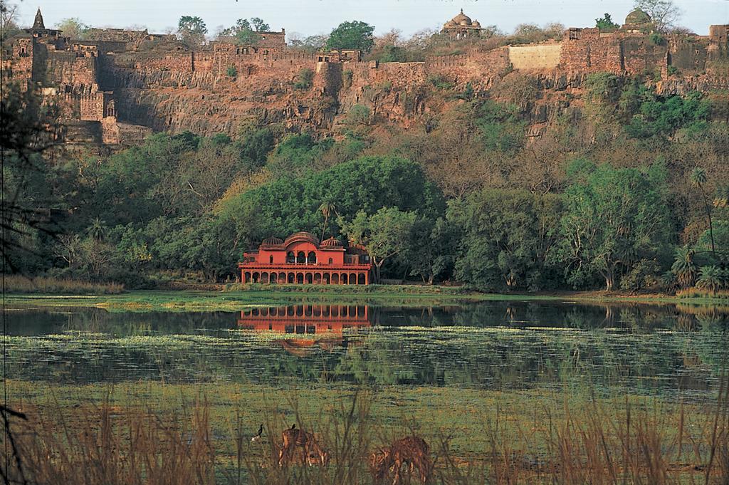 סוואי מדופור The Oberoi Vanyavilas Wildlife Resort, Ranthambhore מתקנים תמונה